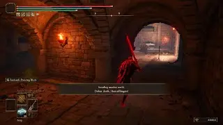 ELDEN RING invasion