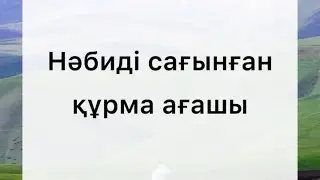 Нәбиді сағынған құрма ағашы. #шейх_абдуллаһ_әлбухари #хадис #пальма