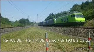 Résumé du spot à Herzogenbushee (BE)