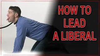 How To Lead Liberals