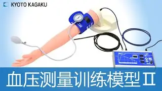 血压测量训练模型Ⅱ MW7B Kyoto Kagaku