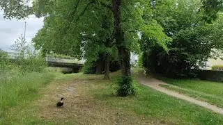 A day with the Green Nature #nature