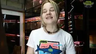 Стерла ли Марина свою книгу про рогаток??? Какие новости в амфиблэб?