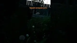 #череповец #вологда как по расписанию в 10:00 прибыл?