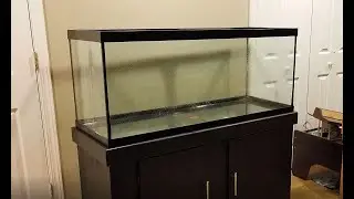 Setting up a 75 gallon aquarium and stand