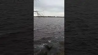 Озеро Разлив показывает характер