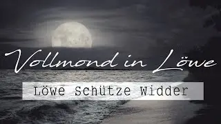 LÖWE | SCHÜTZE | WIDDER | 