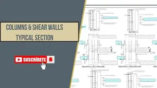 How to read Columns and Shear Walls typical section 