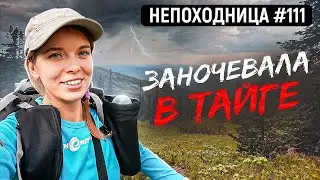 HIKING TO THE WIND MOUNTAIN. SIBERIAN TAIGA. OVERNIGHT IN A HAMMOCK. NON-HIKER