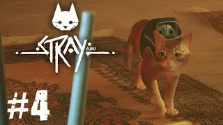 Zurks Everywhere - Stray - #4