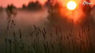 Borrtex - Memoir of Solitude (Chill Music)