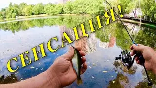 Сенсация ! Это случилось !