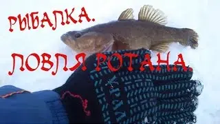Рыбалка.Ловля ротана.