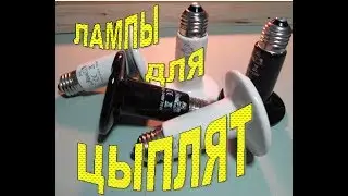 Лампы для цыплят/Типы ламп