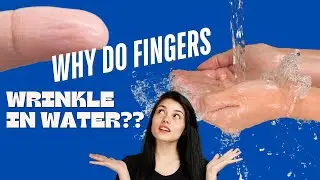 Why Do Fingers Wrinkle in Water? SCIENCE EXPLAINED!