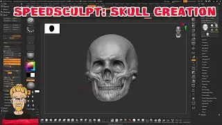 Speedsculpt : Skull sculpting in Zbrush