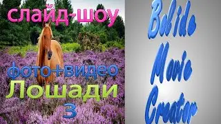 Bolide Movie Creator. Видео 3 