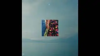 Skirts - Dream Girl
