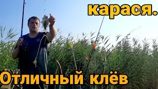 Отличный клёв карася.