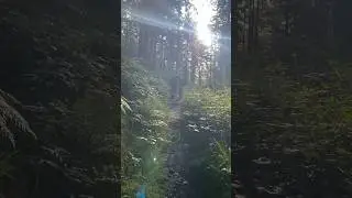 THE CHUTE OF DOOM