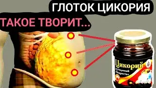 ВОТ что ТВОРИТ ЦИКОРИЙ,  нужно ли Пить его каждый день