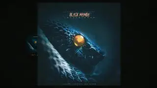 SKBEAT Music Producer – Black Mamba Forever (2021)