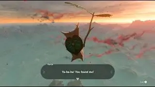 The Legend of Zelda Tears of the Kingdom: Cute little Korok
