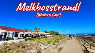 Melkbosstrand, Western Cape! Ep 501