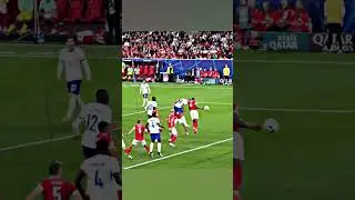 Килиан Черепашка 