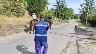 19 сентября 2024 г.