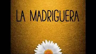 La Madriguera | Un refugio en cuarentena — Ep. 1