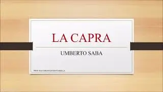 U Saba   La capra