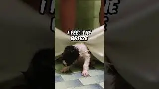 Rescued Fluffy Puppy's Adorable Bath ❤️
