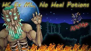 100HP Hardcore Expert Moonlord No Health-Potions (without lifeforce)
