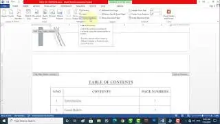 Multiple Page Numbering in MS Word