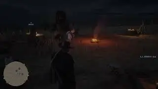 Are the horses ok???