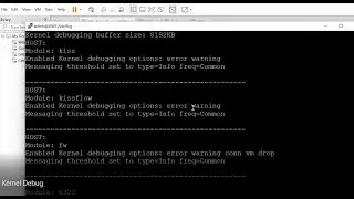 Check Point Firewall Advanced Troubleshooting and Kernel Debug LAB Part1!  How to set debug flags.