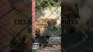 ИСТОРИЯ СОЗДАНИЯ ПРИЮТА В ДОНЕЦКЕ
