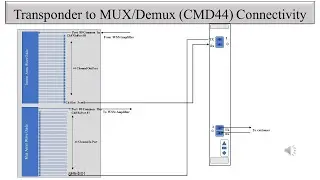 Physical Connectivity between Ciena Transponder/Muxponder  to CMD44 in Signal Flow of DWDM