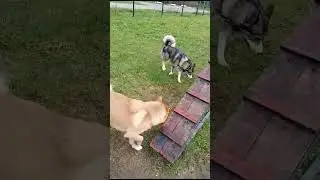Не делай мне нервы, дружище. Я думаю!
