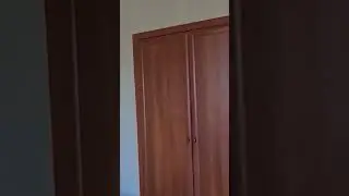 15 августа 2024 г.