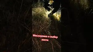 Маскировка и выбор места