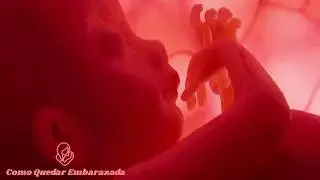 Semana 34 de Embarazo