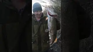 Огромный крокодил.🎣