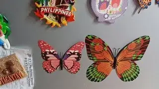 Hello Po