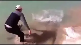 fishing videos new 2023 big rohu fish catching in riverfishing tips and tricks for beginners
