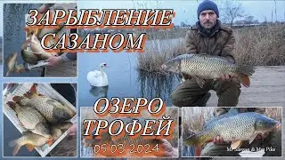 Зарыбление сазаном. Озеро Трофей. 05 03 2024