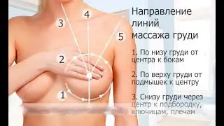 Массаж:работа с молочной железой
