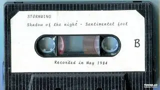 Stormwing 🇫🇮 – Shadow Of The Night (1984)
