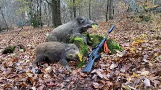 CHASSE AUX SANGLIERS EN BATTUE : UNE JOURNÉE FANTASTIQUE avec @MargauxHuntress  !